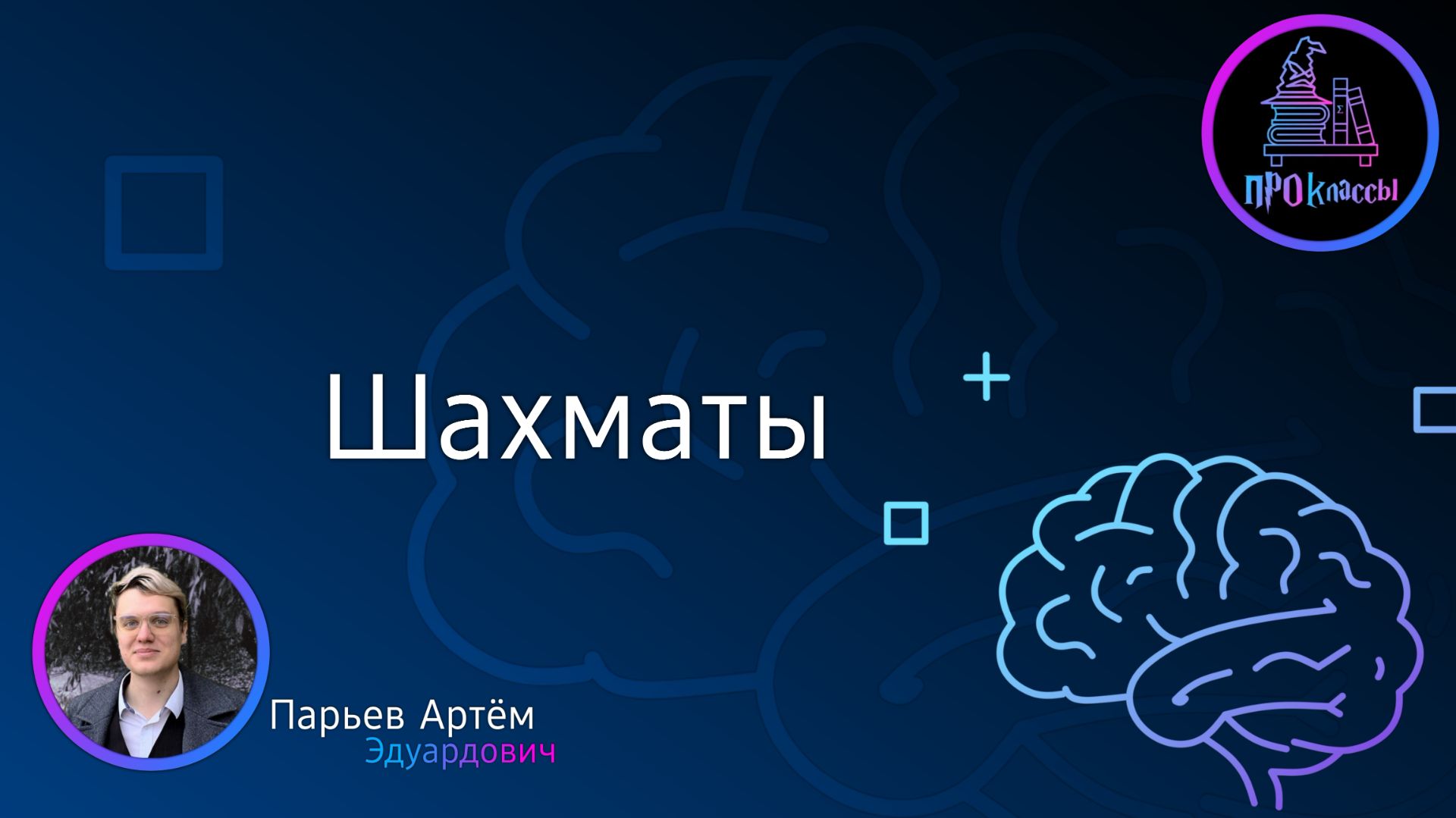 Шахматы