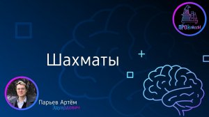 Шахматы