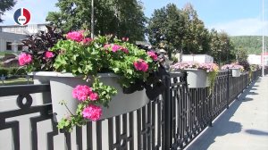 Высадка цветов на городских цветниках
