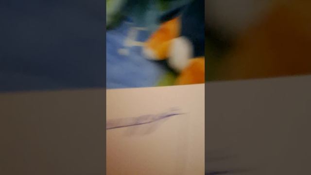 1 серия 1 эпизод 1 сезон «Семья Подводных Котят» смотреть онлайн