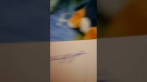 1 серия 1 эпизод 1 сезон «Семья Подводных Котят»