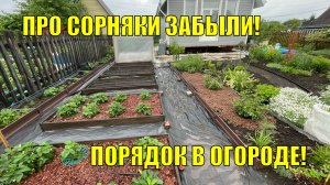 Тотальная перезагрузка огорода | Новые спиреи в моем саду | Упахались все!  Влог 30 - 31 мая