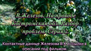 В.Железов. На проводе Костромская обл. Разбор проблем. Серия 2.