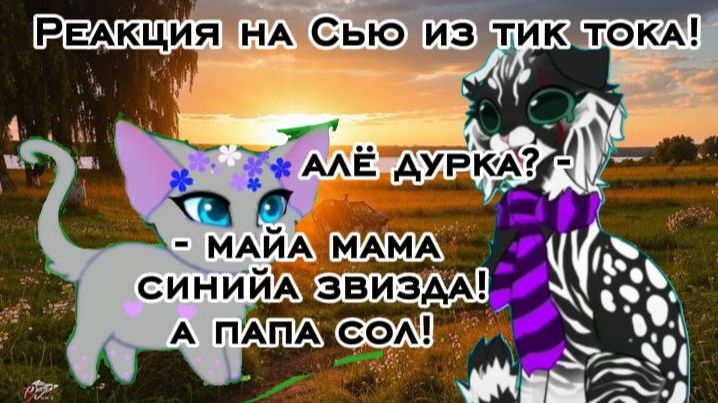 Реакция на Сью Виолетт из тик тока!