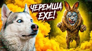 ЧЕРЕМША ЕХЕ!! ТОЛЬКО НЕ ЭТО!! Хаски Бандит Говорящая собака