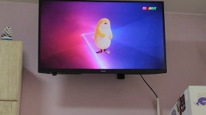 Тюлень взломал канал и начал танцевать