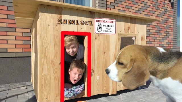 24 ЧАСА В СОБАЧЬЕЙ БУДКЕ ШЕРЛОКА. БРОС ШОУ смотреть онлайн