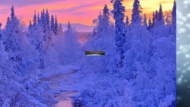 Природа севера России