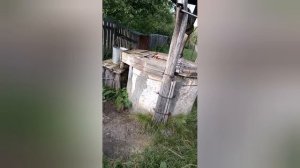 Трейлер моего канала Ушастая Банда!