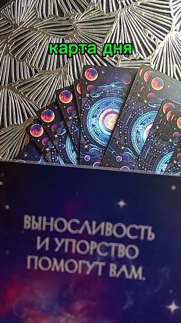 Карта дня