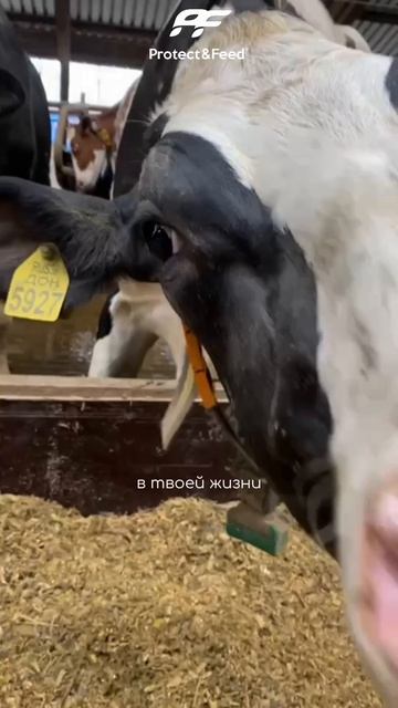 С пятницей! 
