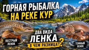 Горная рыбалка на реке Кур! Два вида ленка, в чем разница?