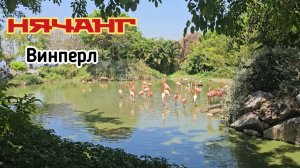 Райские птицы, Винперл, Нячанг.