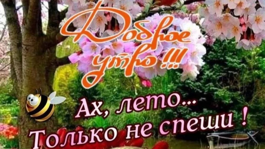 УТРЕННЯЯ ПОЧТА! НОВАЯ ВОЛГА ! ВАСЕВСКИЙ РАСТЯНУЛСЯ АЖ ВЫРОС  