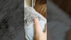 что делают басики за кадром 👍😂