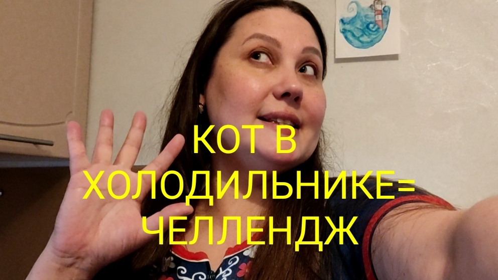 🐱🧊ОН ЗАЛЕЗ В ХОЛОДИЛЬНИК! ЧЕЛЛЕНДЖ НА 10К, ахаха 🤪 #еда #обед #кухня #кот #домашниеживотные #влог