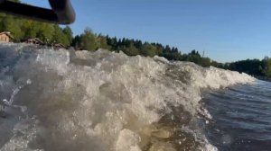 ЗАПУСК ОСЕТРА И СТЕРЛЯДИ