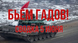 Бьём гадов. Сводка 5 июня