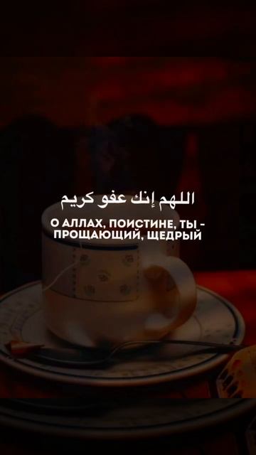 ТВРАТЛУБНАШИДЫ2024