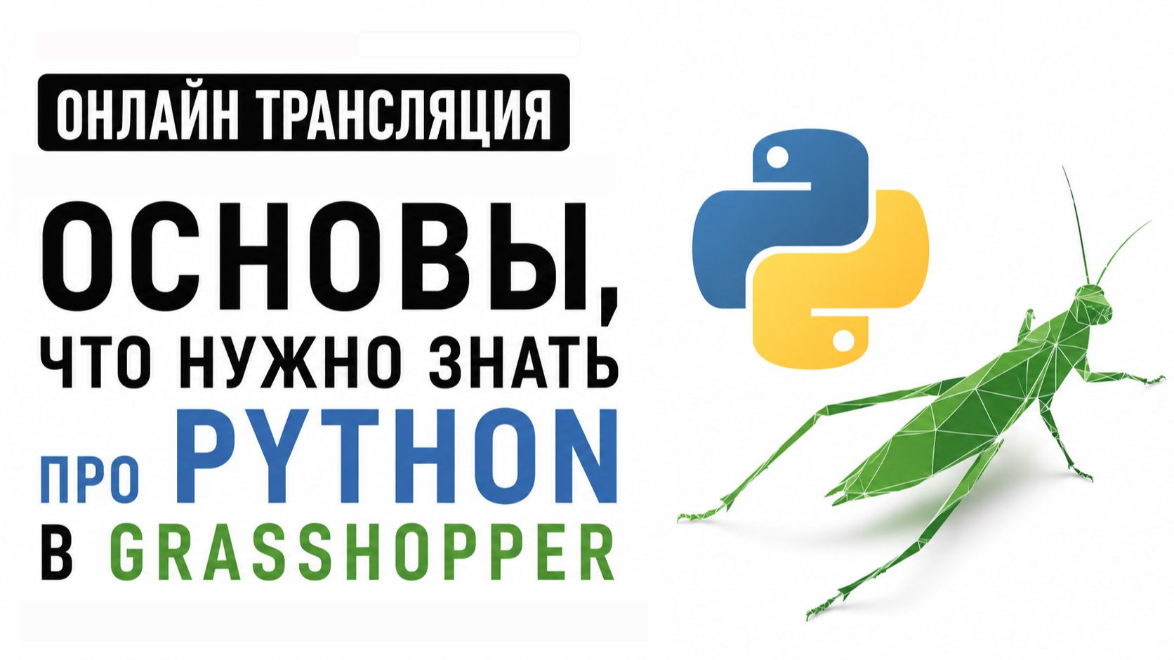 Python в Grasshopper для новичков_ самое основное (без воды) в рамках курса смотреть онлайн