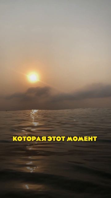КАК РАСПОЗНАЕТСЯ ДЕЯТЕЛЬ?