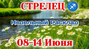 СТРЕЛЕЦ♐ Недельный расклад 08-14 ИЮНЯ /Таро Прогноз/Сферы жизни