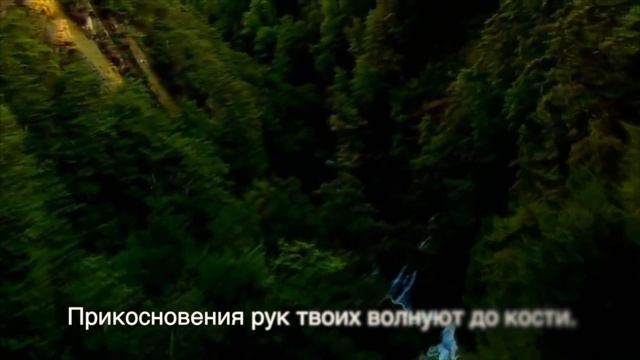Человек с уникальными способностями Мехди Азбука любви