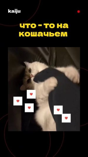 няшного всем дня 😻