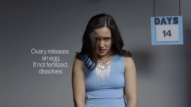 A menstrual cycle in 2 minutes