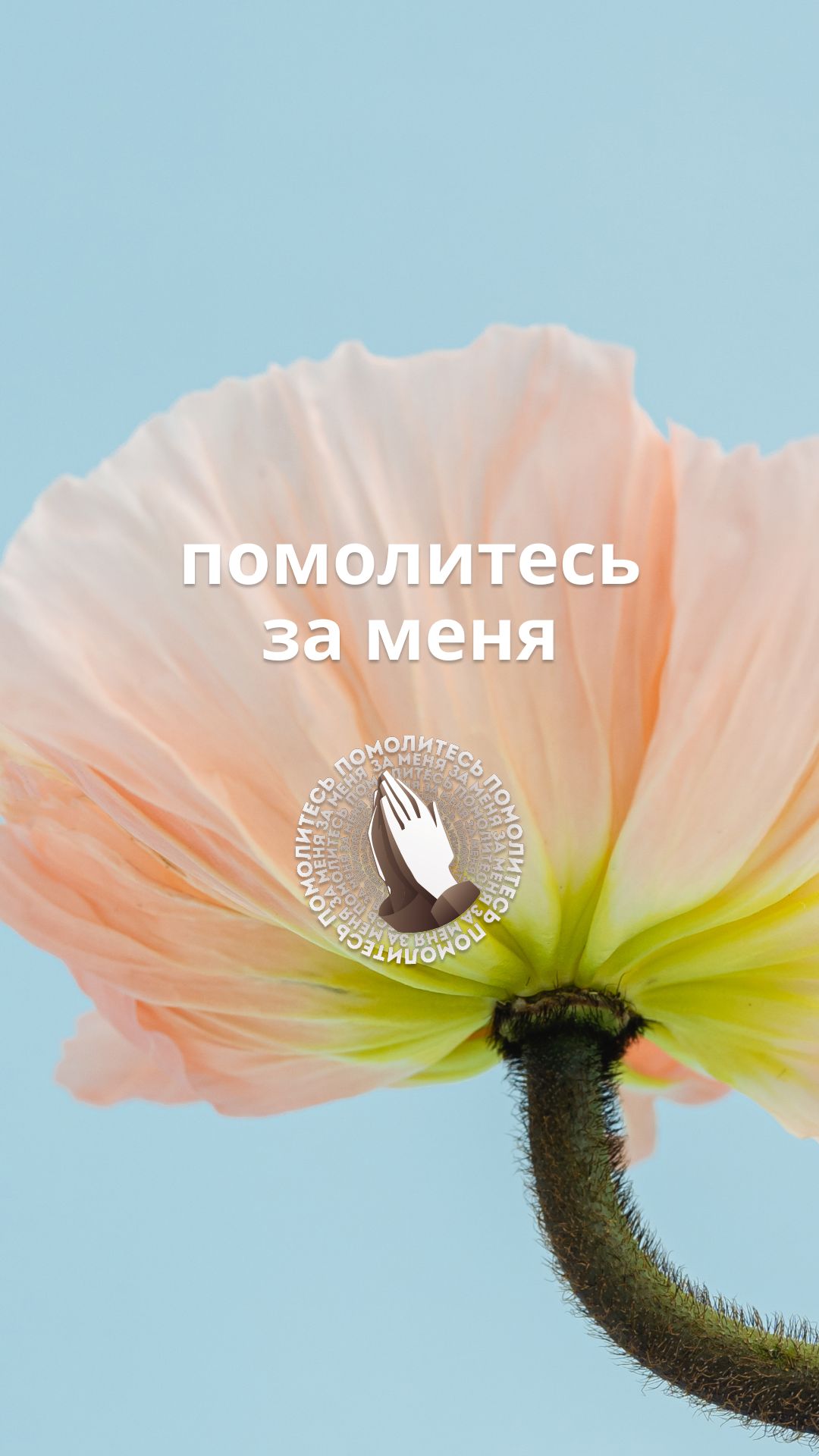 Помолитесь за меня