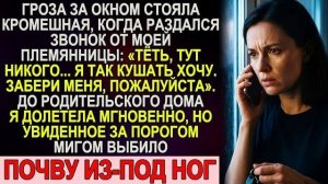 Истории из жизни|Племянница позвонила|Аудио рассказы|Аудиокниги слушать онлайн|Жизненные истории