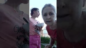 Едим жимолость