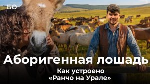 Башкирские аборигены. Бизнес на диких лошадях. Самая древняя порода на земле – ей 3 тысячи лет