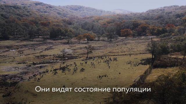 5 июня - День эколога смотреть онлайн