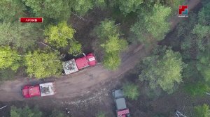 С начала пожароопасного сезона в Марий Эл произошло 8 лесных пожаров