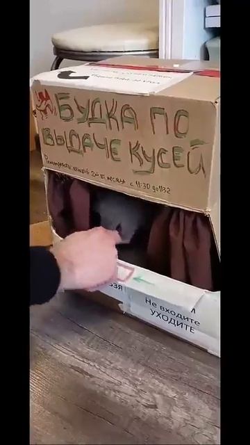Будка по выдаче кусей