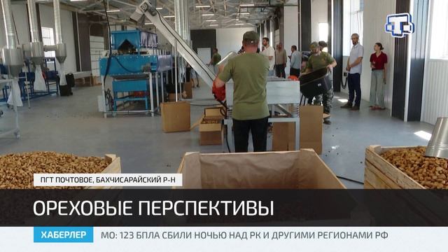 В Крыму реализуют проект по полному циклу переработки орехов
