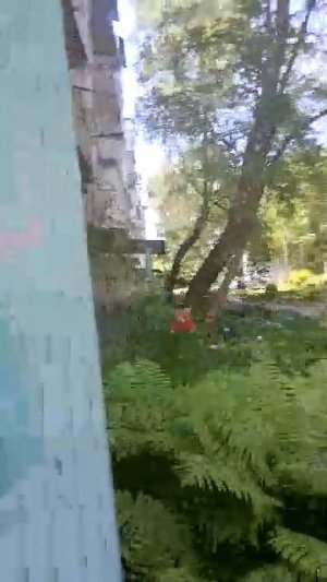05-06-2026