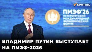 Владимир Путин выступает на ПМЭФ-2026 — прямая трансляция