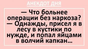 Что больнее операции без наркоза? Однажды, присел я в лесу по нужде, и... | Анекдоты смешные | Юмор