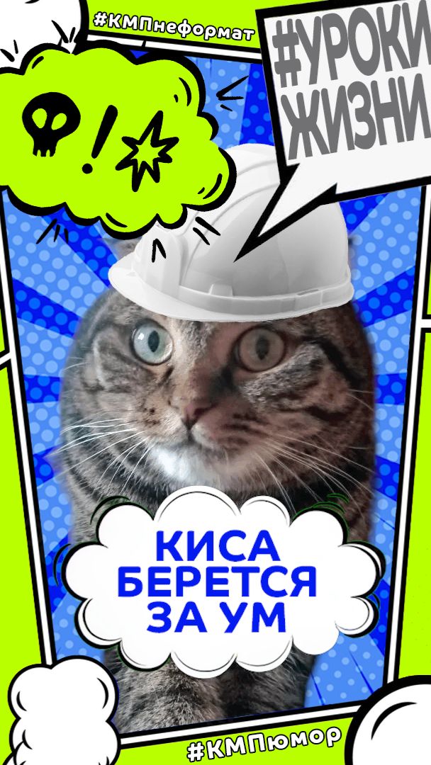 Киса и сосед: время ремонта.