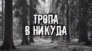 НИКОГДА НЕ ЗАХОДИ В ЭТОТ ЛЕС! Страшные истории на ночь.