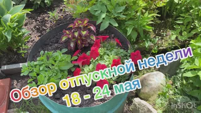 Обзор отпускной недели 18-24 мая смотреть онлайн