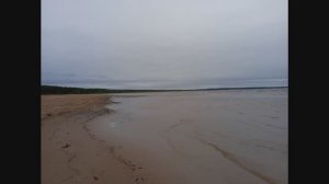 Ладога Тайпаловский залив 2026
