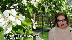 2 часть. ДОСКИНЕЦ БАТЯ прислал открытку❗️Обс@р Гаврилой седой содержанки❗️
