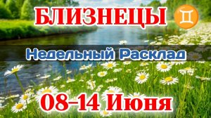 БЛИЗНЕЦЫ ♊ Недельный расклад 08-14 ИЮНЯ /Таро Прогноз/Сферы жизни