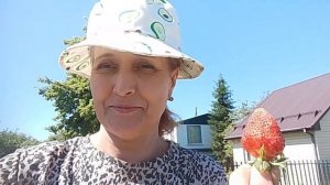 Часть 1/Начала спеть клубника/Пробую первый урожай/Отдых на даче/Простая жизнь в провинции/04.06.26