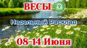 ВЕСЫ♎ Недельный расклад 08-14 ИЮНЯ /Таро Прогноз/Сферы жизни