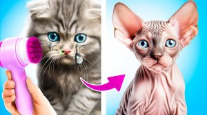 Лайфхаки для владельцев животных! Мы нашли бездомного котенка в песке!