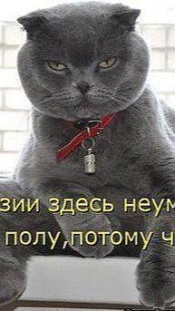 Необыкновенно полезные в хозяйстве вещи🐾
